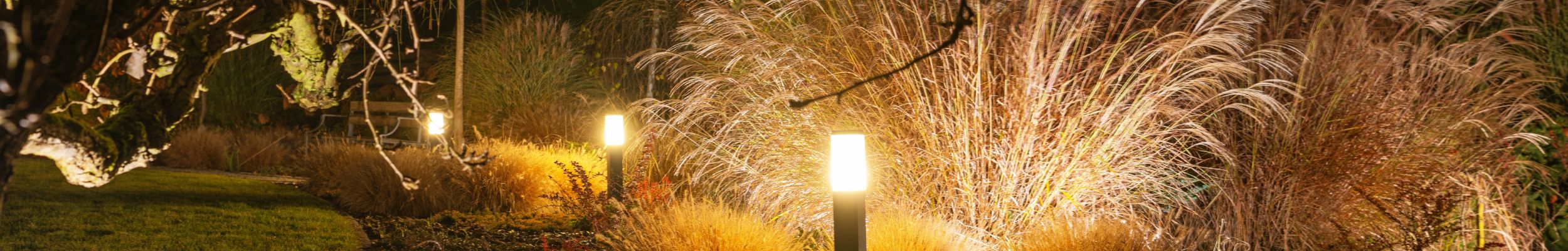 Garden at night with bollard and spike lighting