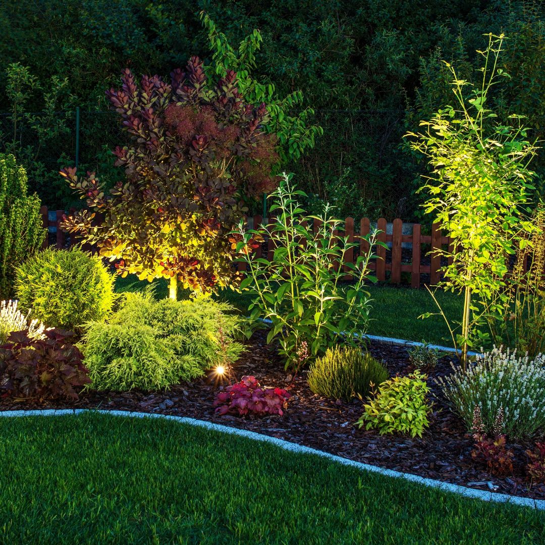 Garden border with a variety of plants at different heights, lit by spike lights from underneath