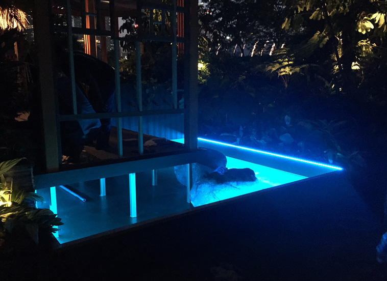 Integral LED Strip contributes to Best Outdoor Lighting award at Singapore Garden Festival
