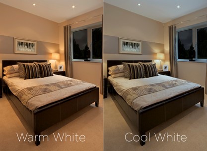 Warm white or Cool white?