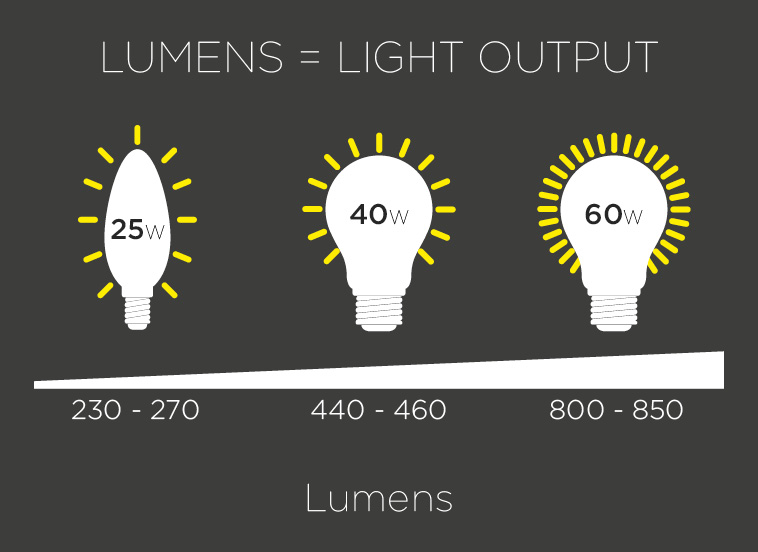 Led light on sale bulb lumens